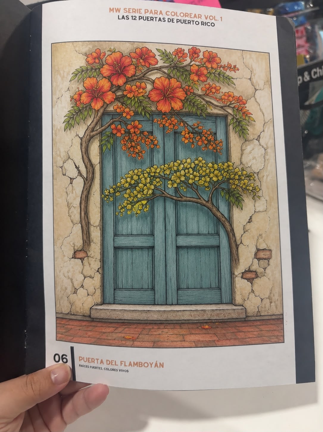 Las 12 Puertas de Puerto Rico | Coloring Book