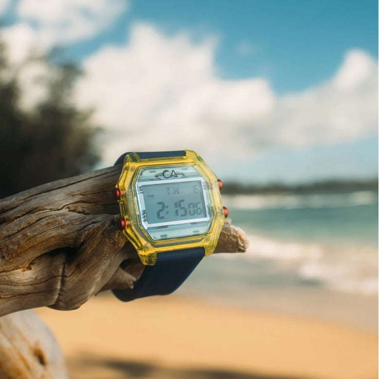 California Watch (BLUE/YELLOW)